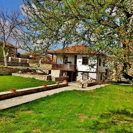 Kutsina * Veliko Tarnovo