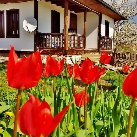Penzion Kutsina