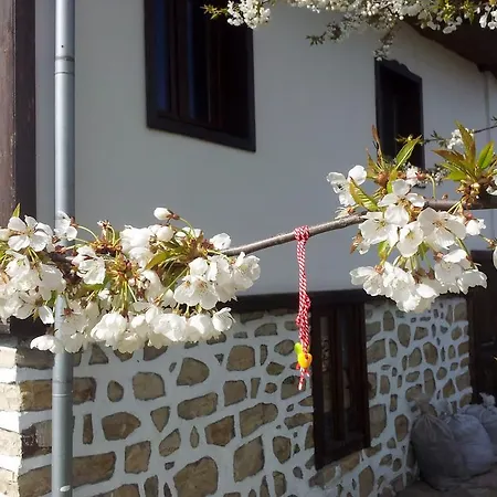 Kutsina Penzion Veliko Tarnovo