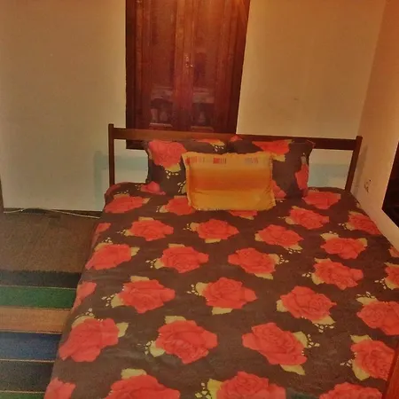 Kutsina Veliko Tarnovo