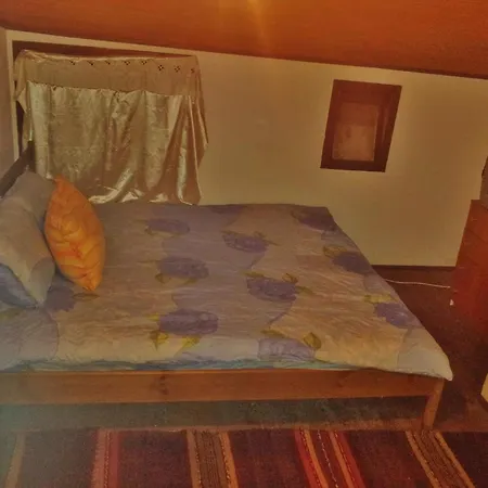 Kutsina *